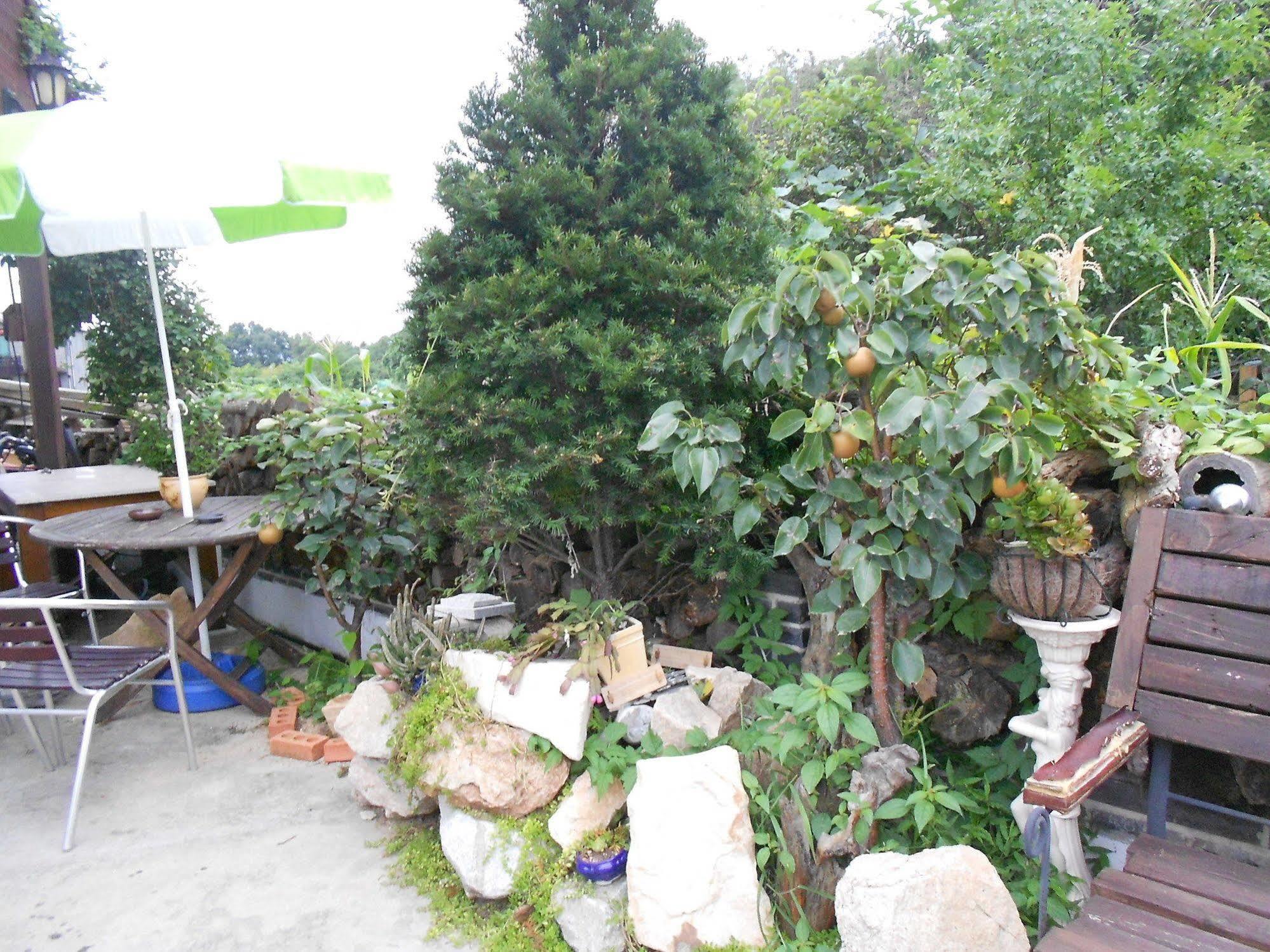 Elvis Bnb Incheon Exterior photo